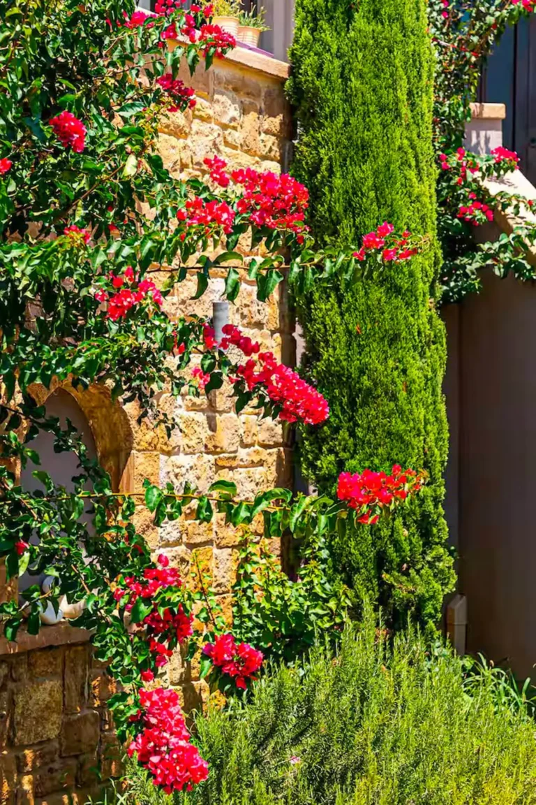 Sea Apartment in a 4 acres garden Patio 1 – 2 Sea Apartment in a 4 acres garden