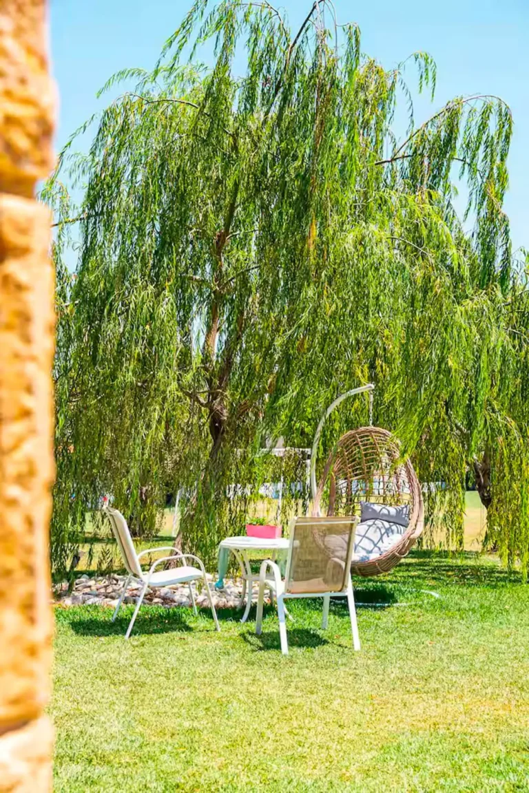 Sea Apartment in a 4 acres garden Patio (10) Sea Apartment in a 4 acres garden